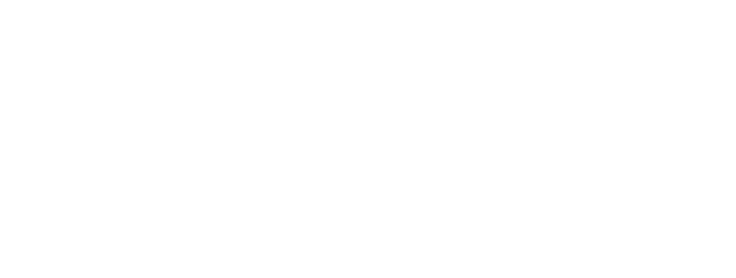 ZAFEVI STORE
